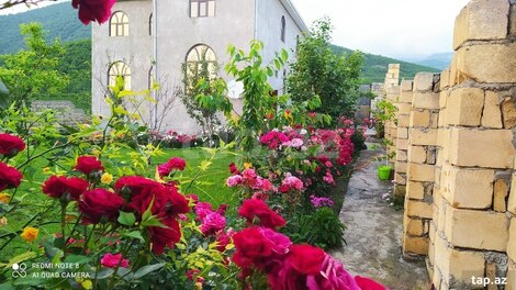 Həyət evi, Oğuz r.