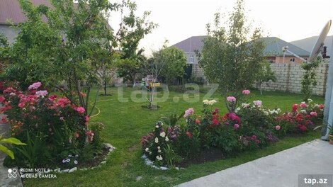 Həyət evi, Oğuz r.