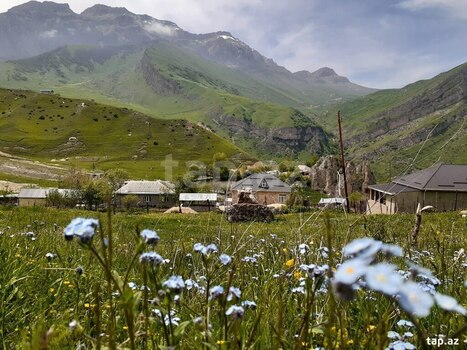 Bağ evi kirayə verilir, Qusar r.