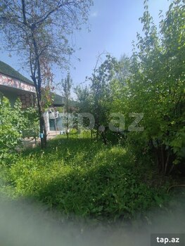 Həyət evi, Şəki r.