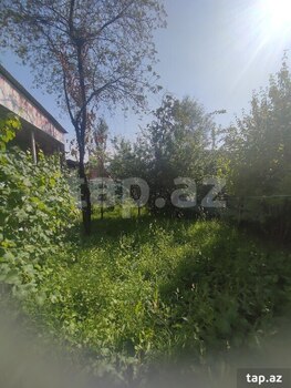 Həyət evi, Şəki r.