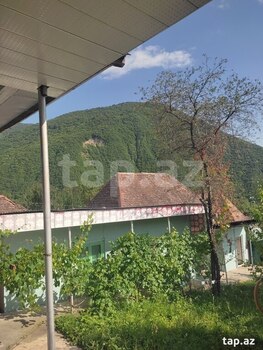 Həyət evi, Şəki r.