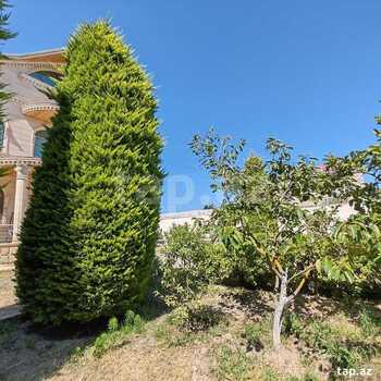Villa, Buzovna qəs.