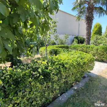 Villa, Buzovna qəs.