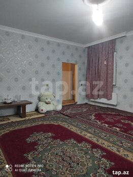 Həyət evi kirayə verilir, Gəncə ş.