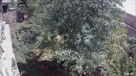 Həyət evi, Göygöl r.