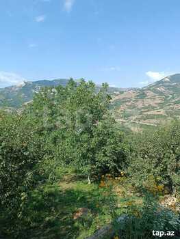 Bağ evi kirayə verilir, Quba r.