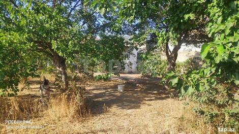 Həyət evi, Maştağa qəs.