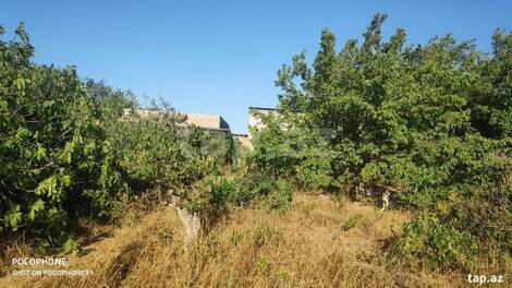 Həyət evi, Maştağa qəs.