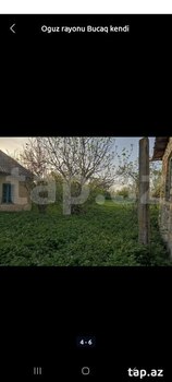 30 sot torpaq sahəsi, Bucaq kəndi