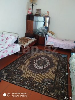 Həyət evi kirayə verilir, Şəki ş.
