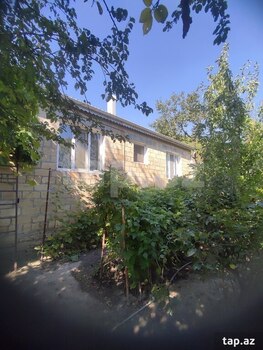 Həyət evi, Şəki ş.
