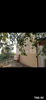 Mağaza, Salyan r.