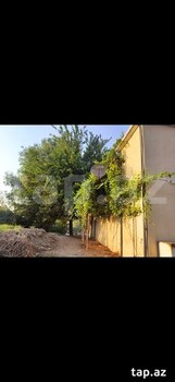 Mağaza, Salyan r.