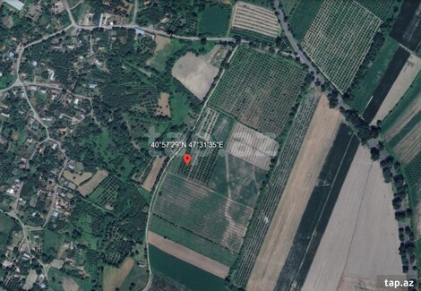 465 sot torpaq sahəsi, Oğuz r.