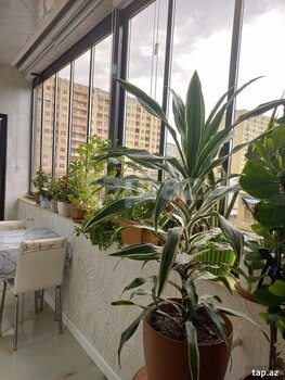 3-otaqlı yeni tikili, Mehdi Hüseynzadə küç., 90 m²