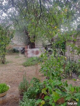 Həyət evi, Qəbələ ş.