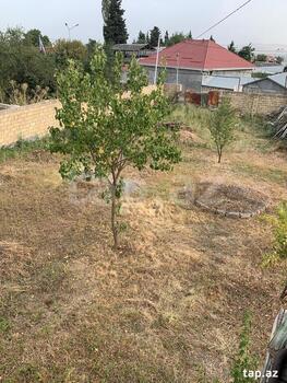 Həyət evi, Oğuz r.
