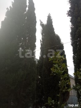 Bağ evi, Buzovna qəs.
