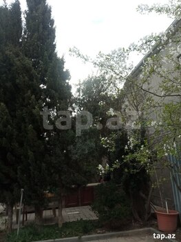 Bağ evi, Buzovna qəs.