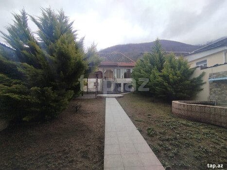 Həyət evi, Şəki ş.