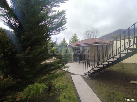 Həyət evi, Şəki ş.