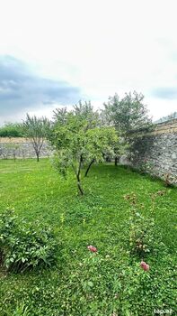 Həyət evi, Şəki ş.