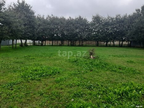 11 sot torpaq sahəsi, Masallı r.