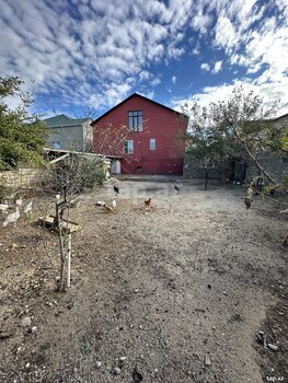 Həyət evi, Saray qəs.