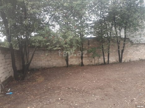 Həyət evi, Masallı r.