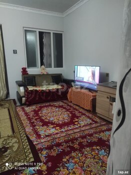 Həyət evi kirayə verilir, Qəbələ ş.