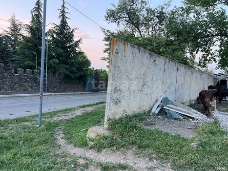 12 sot torpaq sahəsi, Gəncə ş.