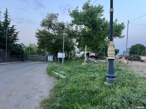12 sot torpaq sahəsi, Gəncə ş.