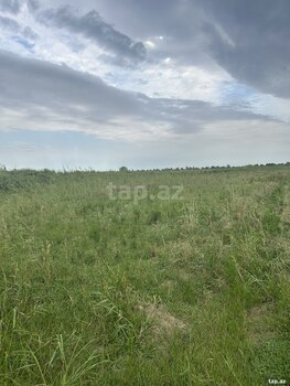 1200 sot torpaq sahəsi, Salyan r.