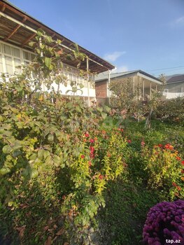Bağ evi, Şəki ş.