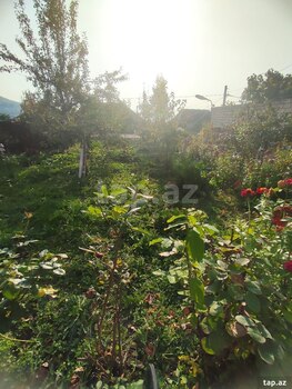 Bağ evi, Şəki ş.