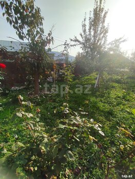 Bağ evi, Şəki ş.
