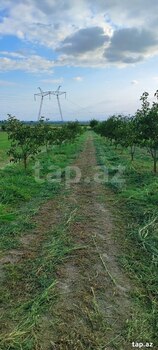 2500 sot torpaq sahəsi, Mingəçevir ş.