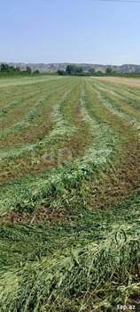2500 sot torpaq sahəsi, Mingəçevir ş.