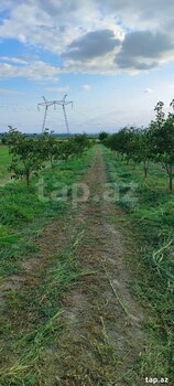 2500 sot torpaq sahəsi, Mingəçevir ş.
