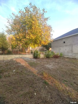 Həyət evi, Şəki ş.