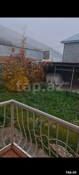Həyət evi, Şəki ş.
