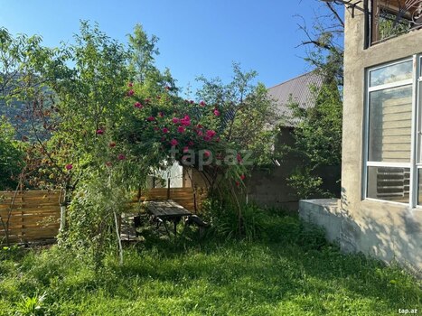 Bağ evi kirayə verilir, Quba r.