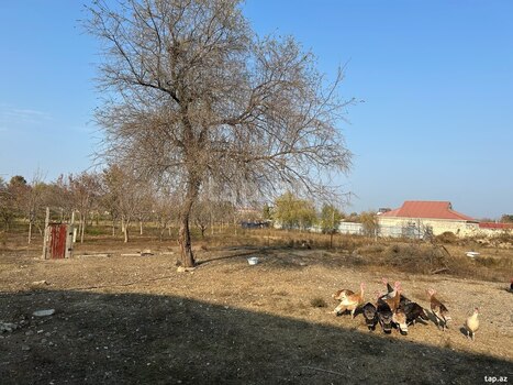 Həyət evi, Beyləqan r.