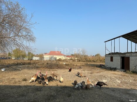 Həyət evi, Beyləqan r.