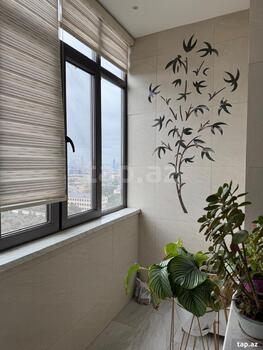 6-otaqlı yeni tikili, Qara Qarayev m., 270 m²