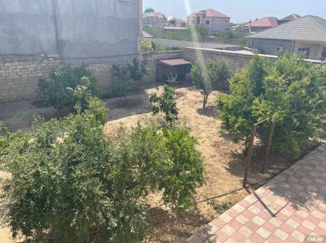Həyət evi, Novxanı qəs.