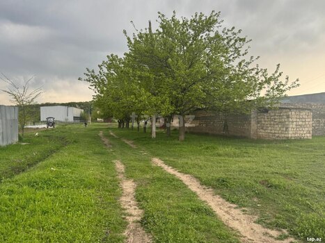 50 sot torpaq sahəsi, Tovuz rayonu