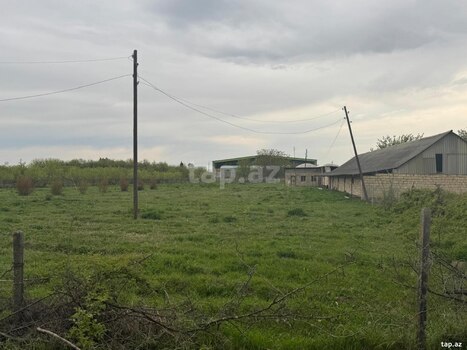 50 sot torpaq sahəsi, Tovuz rayonu