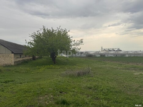 50 sot torpaq sahəsi, Tovuz rayonu
